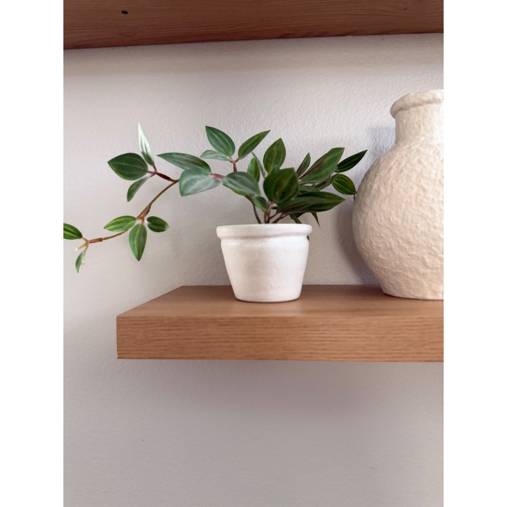 Target Faux Potted Plant Artificial Peperomia in White Green
